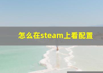 怎么在steam上看配置