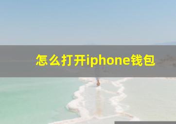 怎么打开iphone钱包