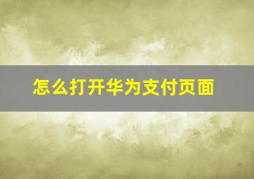 怎么打开华为支付页面