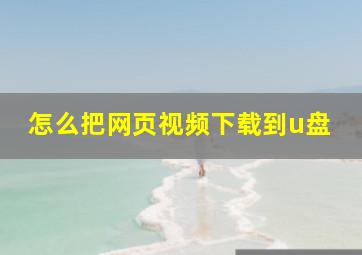 怎么把网页视频下载到u盘