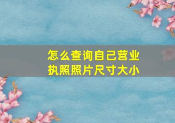 怎么查询自己营业执照照片尺寸大小