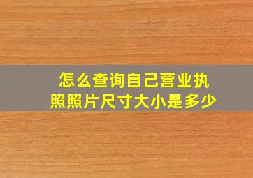 怎么查询自己营业执照照片尺寸大小是多少