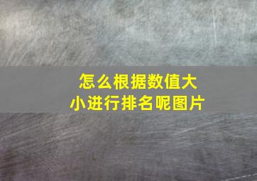 怎么根据数值大小进行排名呢图片