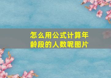 怎么用公式计算年龄段的人数呢图片