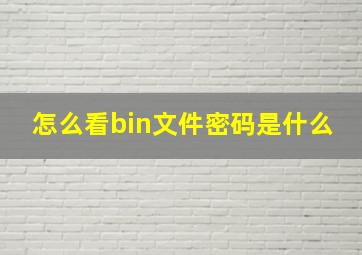 怎么看bin文件密码是什么