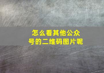 怎么看其他公众号的二维码图片呢