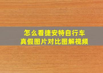 怎么看捷安特自行车真假图片对比图解视频