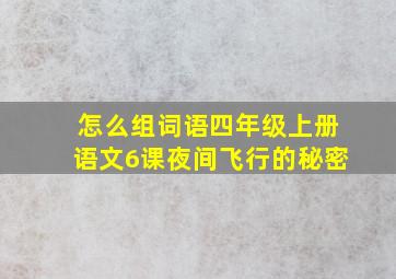 怎么组词语四年级上册语文6课夜间飞行的秘密