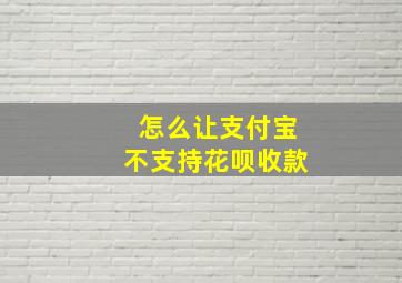 怎么让支付宝不支持花呗收款