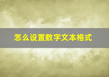 怎么设置数字文本格式