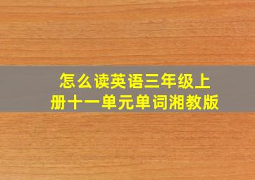 怎么读英语三年级上册十一单元单词湘教版