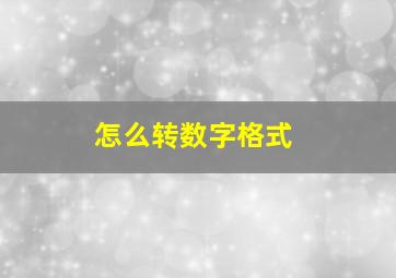 怎么转数字格式