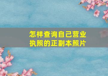 怎样查询自己营业执照的正副本照片