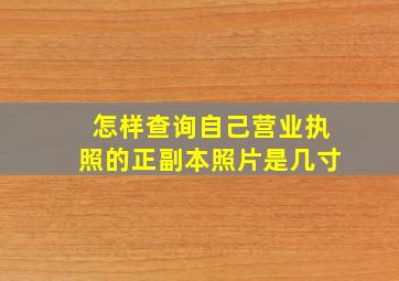 怎样查询自己营业执照的正副本照片是几寸