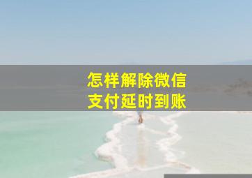 怎样解除微信支付延时到账