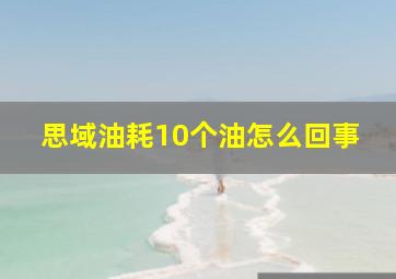 思域油耗10个油怎么回事