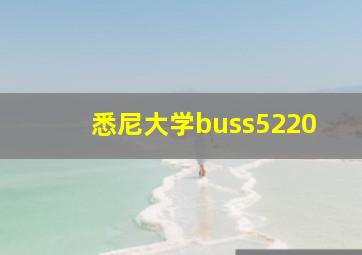 悉尼大学buss5220