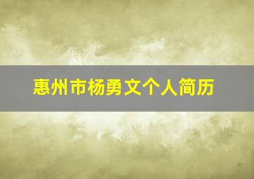 惠州市杨勇文个人简历