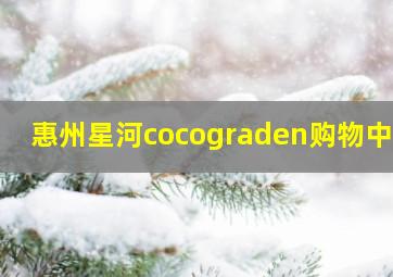 惠州星河cocograden购物中心