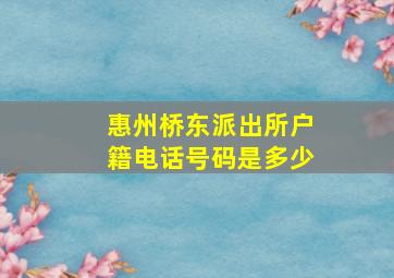 惠州桥东派出所户籍电话号码是多少