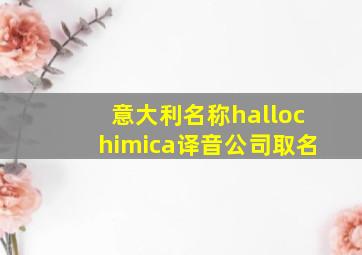 意大利名称hallochimica译音公司取名