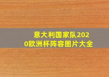 意大利国家队2020欧洲杯阵容图片大全