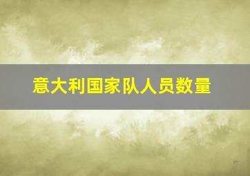 意大利国家队人员数量