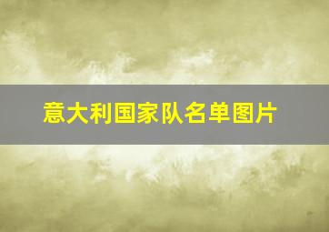 意大利国家队名单图片