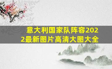 意大利国家队阵容2022最新图片高清大图大全