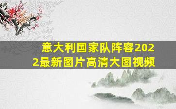 意大利国家队阵容2022最新图片高清大图视频