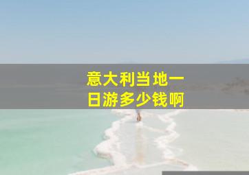 意大利当地一日游多少钱啊