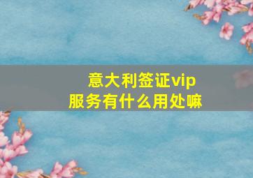 意大利签证vip服务有什么用处嘛