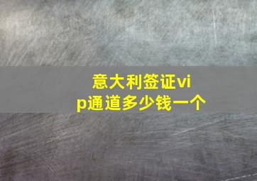 意大利签证vip通道多少钱一个