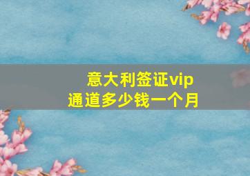 意大利签证vip通道多少钱一个月