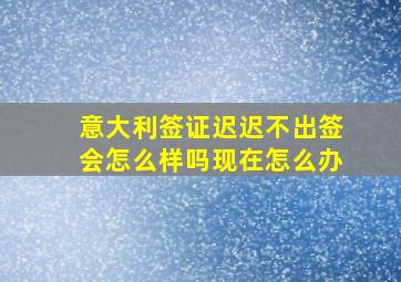 意大利签证迟迟不出签会怎么样吗现在怎么办