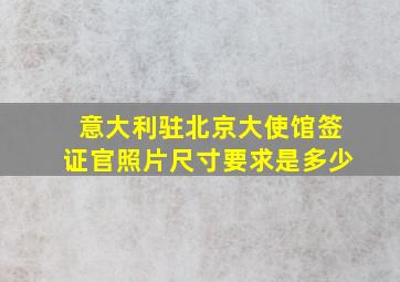 意大利驻北京大使馆签证官照片尺寸要求是多少