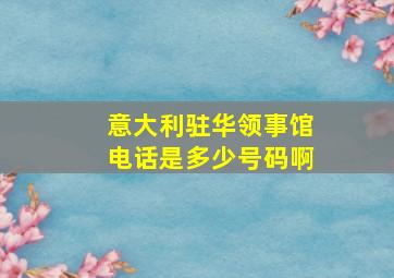 意大利驻华领事馆电话是多少号码啊