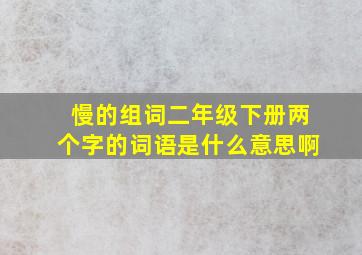 慢的组词二年级下册两个字的词语是什么意思啊