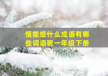 慢能组什么成语有哪些词语呢一年级下册