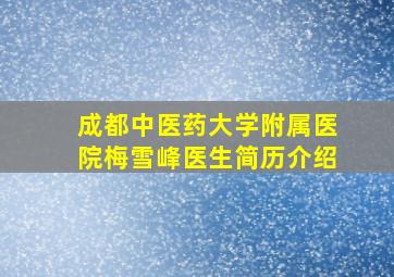 成都中医药大学附属医院梅雪峰医生简历介绍