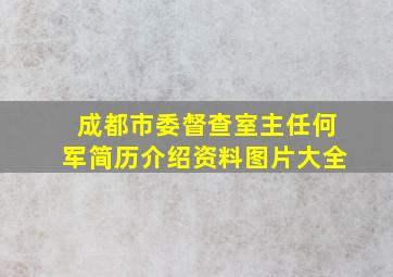 成都市委督查室主任何军简历介绍资料图片大全