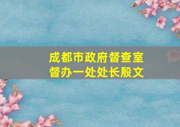 成都市政府督查室督办一处处长殷文