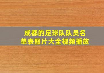 成都的足球队队员名单表图片大全视频播放