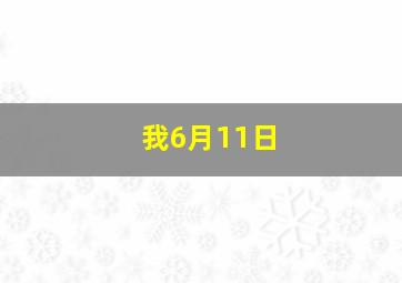 我6月11日