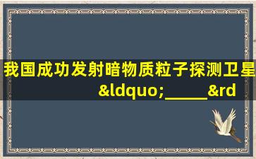 我国成功发射暗物质粒子探测卫星“_____”