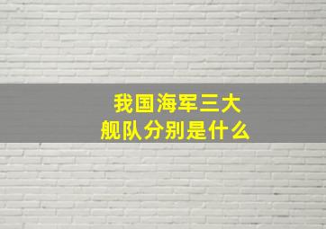 我国海军三大舰队分别是什么