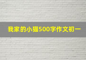 我家的小猫500字作文初一