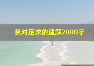 我对足球的理解2000字