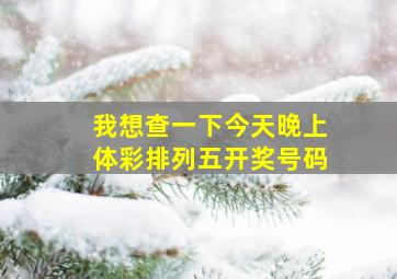 我想查一下今天晚上体彩排列五开奖号码