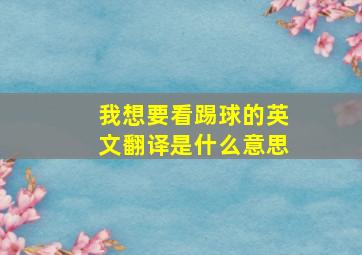 我想要看踢球的英文翻译是什么意思